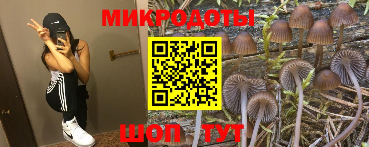 Псилоцибиновые грибы MAGIC MUSHROOMS Нерюнгри